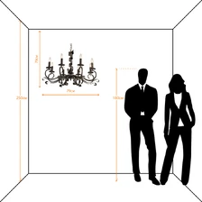 Подвесная люстра Arte Lamp ARENA  5