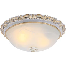 Потолочный светильник Arte Lamp TORTA  1