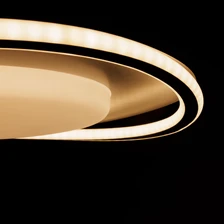 Потолочная люстра Arte Lamp MAYPOLE  4