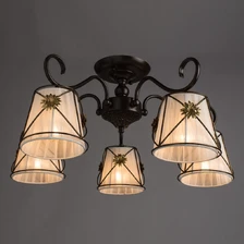 Потолочная люстра Arte Lamp FORTUNA  2