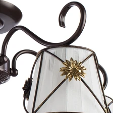 Потолочная люстра Arte Lamp FORTUNA  3