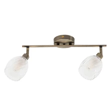 Спот Arte Lamp BIHAM  1