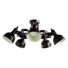 Потолочная люстра Arte Lamp MARTIN  1